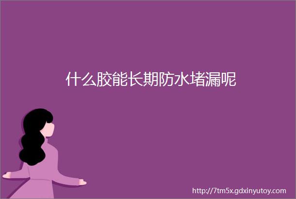 什么胶能长期防水堵漏呢